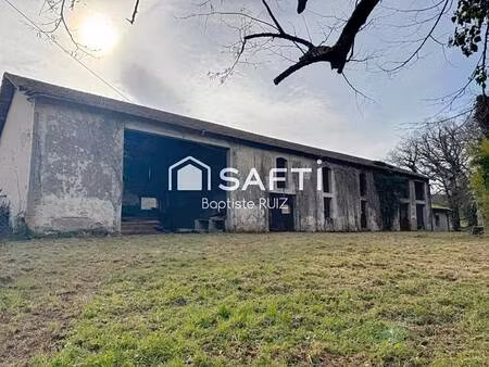 safti ruiz baptiste conseiller indépendant