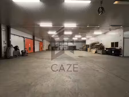 mgd conseil caze immobilier d'entreprise