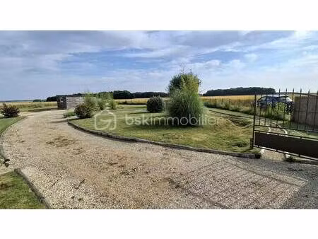 thierry testard bsk immobilier