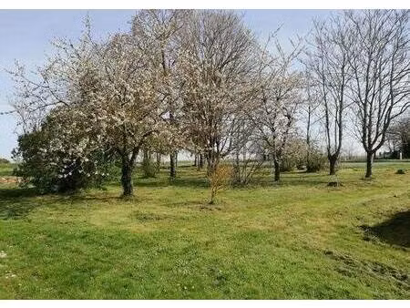 terrain constructible à vendre
