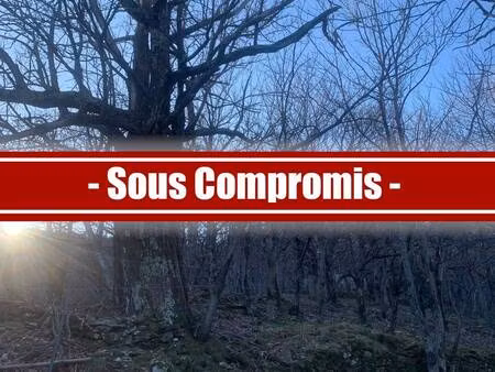 terrain champêtre/forestier à vendre