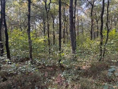 propriété de loisirs à vendre