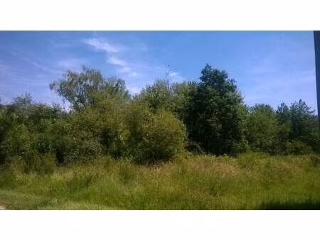 terrain constructible à vendre