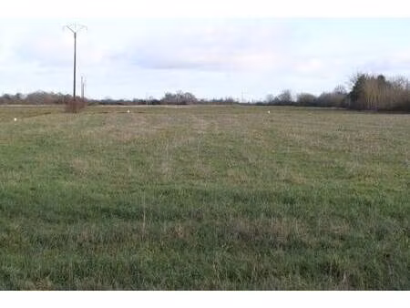 terrain constructible viabilisé à vendre