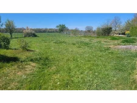 thierry monchaux expertimo