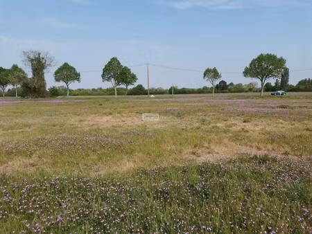 terrain constructible viabilisé à vendre