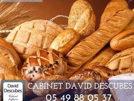 david-descubes