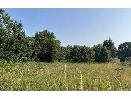 terrain constructible à vendre
