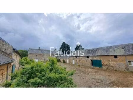 mme. morgane ecolivet