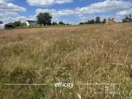 terrain constructible viabilisé à vendre