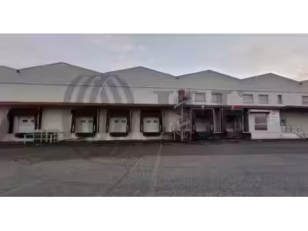entrepôt à louer