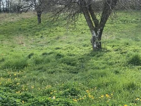 terrain constructible à vendre