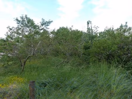 terrain constructible à vendre