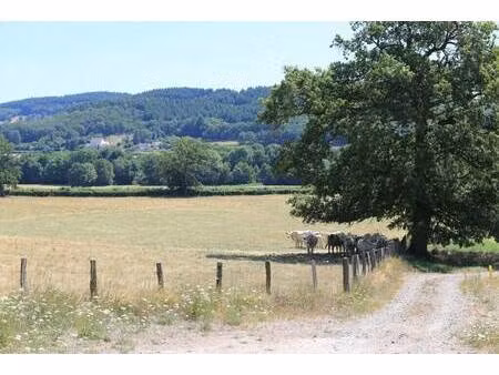 terrain constructible viabilisé à vendre