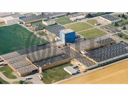 local d'activités à louer