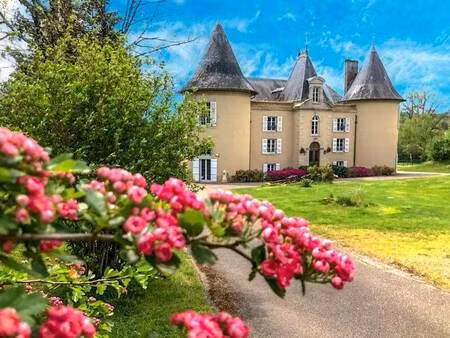 château à vendre