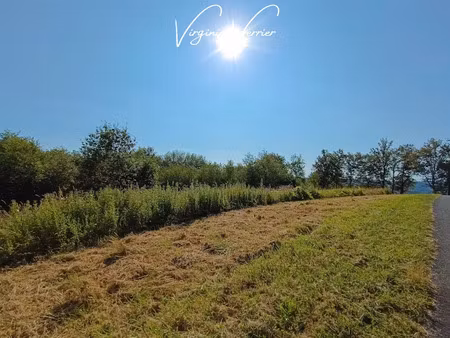 vente terrain 3000 m² à louignac (19310)  13 500 €