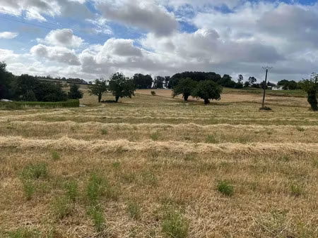 vente terrain 2565 m² à saint-projet (46300)  33 345 €