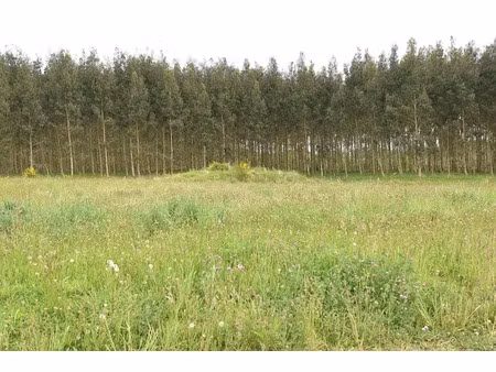 vente terrain 1150 m² à bats (40320)  45 550 €