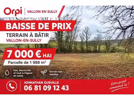 vente terrain 1899 m² à vallon-en-sully (03190)  7 000 €