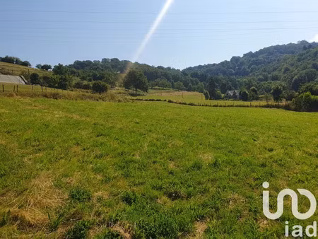 vente terrain 1000 m² à campouriez (12140)  32 000 €