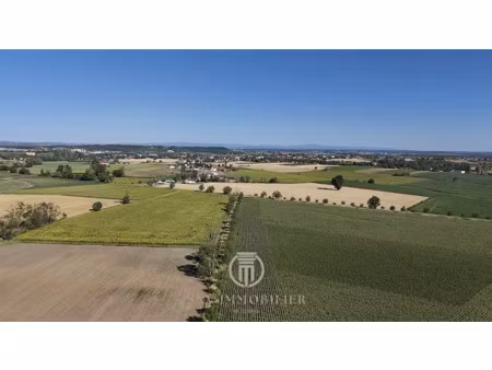 vente terrain 1731 m² à saint-pourçain-sur-sioule (03500)  24 900 €