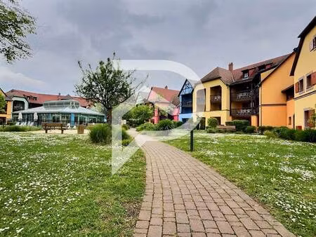 stephane plaza immobilier colmar -sud