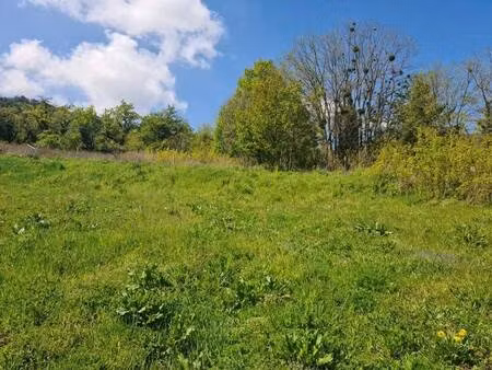 terrain constructible viabilisé à vendre