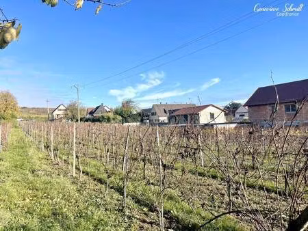 terrain constructible viabilisé à vendre