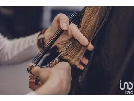 iad france aurelie brazier