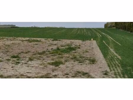 terrain constructible viabilisé à vendre