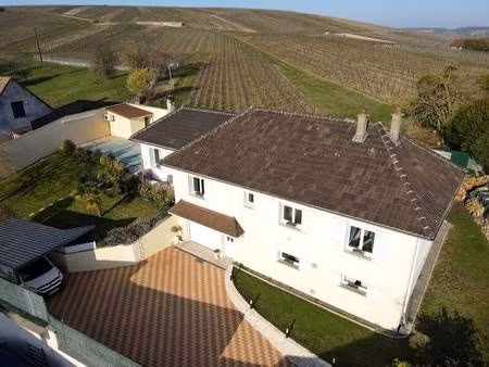 willot patrice capifrance