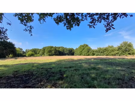 vente terrain 8100 m² à saint-vivien-de-médoc (33590)  66 000 €