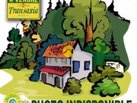 vente terrain 1577 m² à massiac (15500)  55 000 €