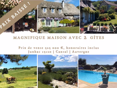 magnifique propriété avec maison d'habitation  2 gîtes et pi