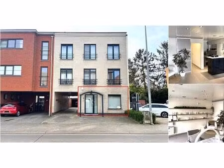 surface commerciale à louer à hoogstraat 3 schriek (rbu04378)