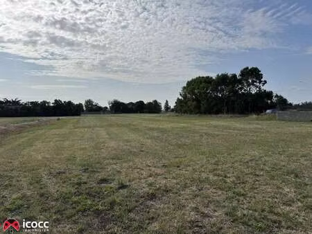 vente terrain à triaize (85580) : à vendre / 6711m² triaize