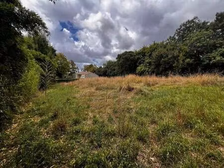 vente terrain à genouillé (17430) : à vendre / 780m² genouillé