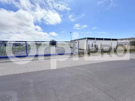 local d'activite a louer