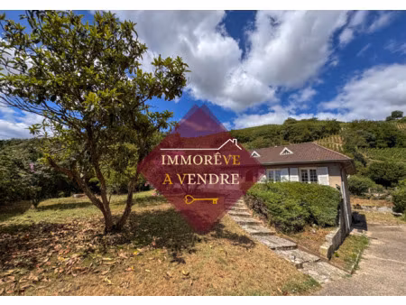 achat maison 5 pièces 103m² chavanay 42410