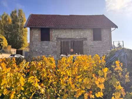 vente maison 1 pièce 54 m² à chenay (51140)  128 000 €