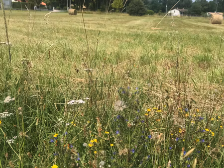 achat terrain 1 850m² st aigulin 17360