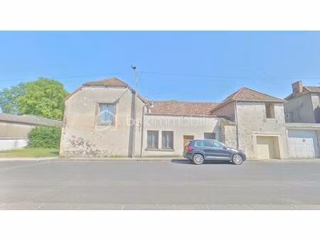 immeuble mixte de 220 m² à bray-sur-seine