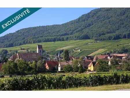 très belle parcelle 525 m²