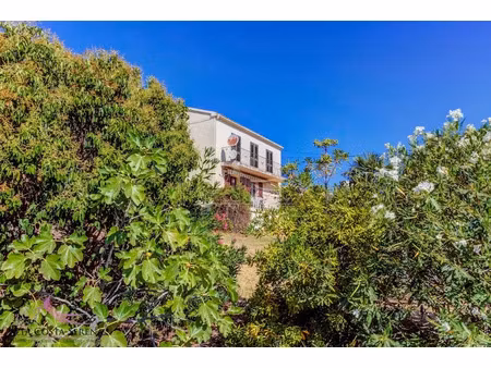 vente maison 6 pièces 130.4 m² à pietroso (20242)  365 000 €