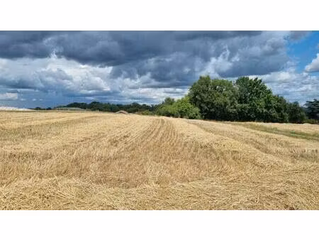 terrain à cendrieux