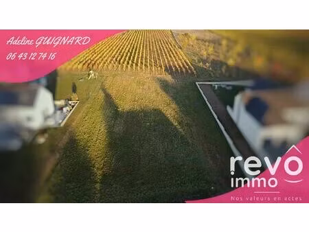 vente terrain 1239 m² bellevigne-en-layon (49750)