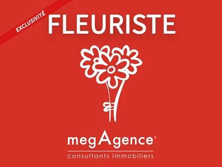 roland brzoza consultant megagence