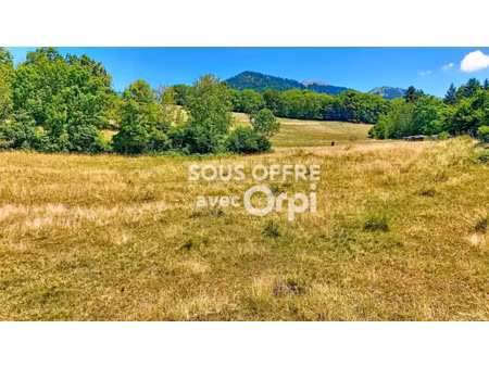 vente terrain à batir 3331 m² à saint-jean-de-tholome (74250)  180 000 €