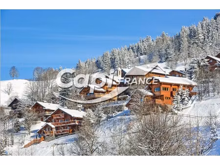 vente locaux professionnels 1 pièce 60 m² à les avanchers-valmorel (73260)  73 000 €